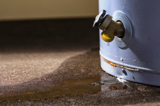 Best Mold removal after water damage  in Eddystone, PA