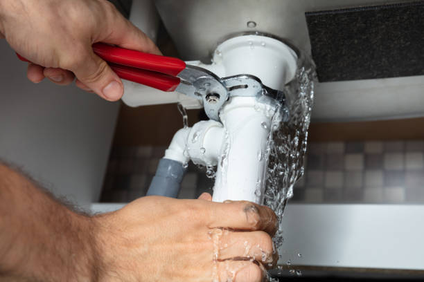 Best Flood damage cleanup  in Eddystone, PA