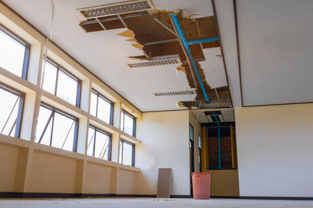 Best Carpet water damage restoration  in Eddystone, PA