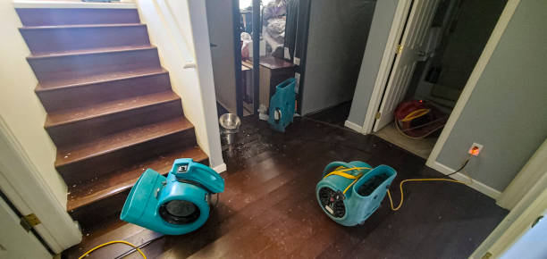 Best Ceiling water damage repair  in Eddystone, PA