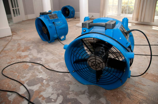 Best Ceiling water damage repair  in Eddystone, PA
