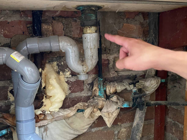 Best Professional water damage repair  in Eddystone, PA